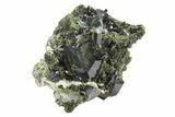 Lustrous Epidote Crystals on Actinolite - Pakistan #213459-1